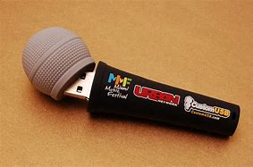 Image result for Microphone USB Changer