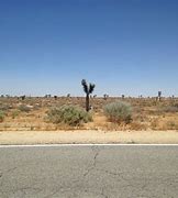 Image result for Desert Land