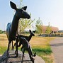 Image result for Brandon Manitoba