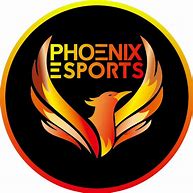 Image result for Phoenix eSports Logo