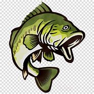 Image result for Bass Fish Vector Clip Art