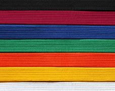 Image result for Colors of Karate Belts