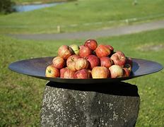 Image result for Pomme Fruit