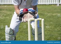 Image result for Cricket Wicket keeper