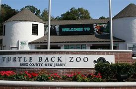 Image result for Zoo Door