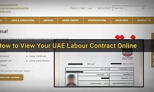 Image result for Dubai Employment Contract Template
