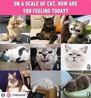 Image result for How Do You Feel Today Memr