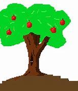 Image result for Best Dwarf Apple Tree