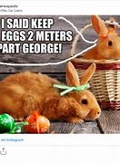 Image result for Easter Time Card Memes