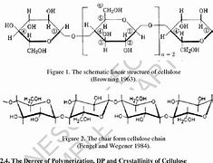 Image result for Stracture of Paper Pulp Cellulose