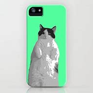 Image result for Cute Cat iPod Case
