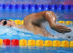 Image result for FINA World Swimming Championships