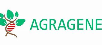 Image result for agreae
