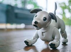 Image result for Sony Aibo Japan