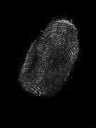 Image result for Fingerprint Security Masterprint