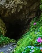 Image result for Beautiful Flower Cave