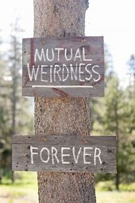 Image result for Funny Marriage Signs