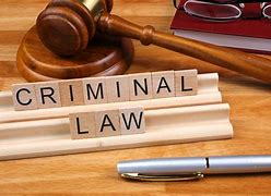 Image result for Criminal Law