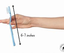 Image result for How Long Is 6 Inch