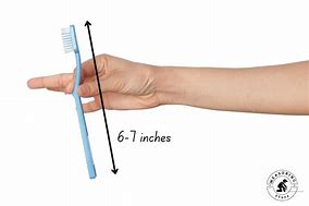 Image result for How Long Is Six Inches