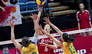 Image result for Volleyball World Cup Final Women