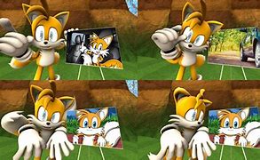 Image result for Tails Taxidermy Meme