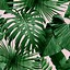Image result for Background Daun Aesthetic