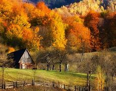 Image result for Fall Field Forest Edge