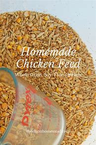 Image result for Homemade Chicken Feed Recipe