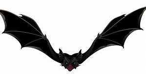 Image result for Bat Transparent Image