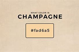 Image result for Cream Gold vs Champagne