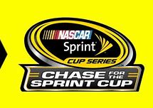 Image result for NASCAR Cup Series Flag