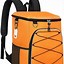 Image result for Coolest Cooler Backpack