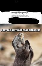 Image result for Praying Otter Meme