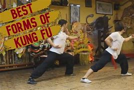 Image result for Famous Kung Fu Styles