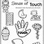 Image result for Sense of Touch Worksheet