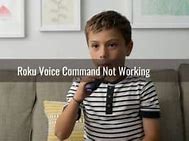 Image result for Roku Voice Remote