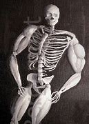 Image result for Skeleton Muscle Meme