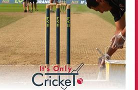 Image result for Cricket Pitch Types
