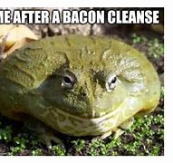 Image result for Surprised Frog Meme