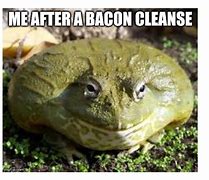Image result for Squashed Frog Meme