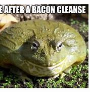 Image result for Goofy Frog Meme