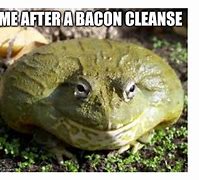 Image result for Smiling Frog Meme