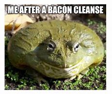 Image result for Old Frog Meme