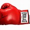 Image result for Boxing Gloves Black and White