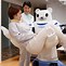 Image result for Robot Nurse Japan