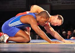 Image result for Traditional Indian Wrestlers