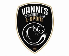 Image result for vannes_olympique_club