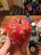 Image result for How to Make an Apple Vivipary