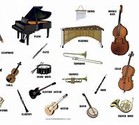 Image result for Music Instruments Types